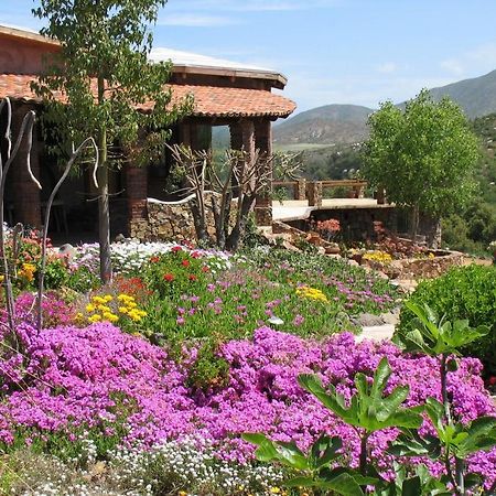 Quinta Maria En La Ruta Del Vino Bed & Breakfast Valle de Guadalupe Dış mekan fotoğraf