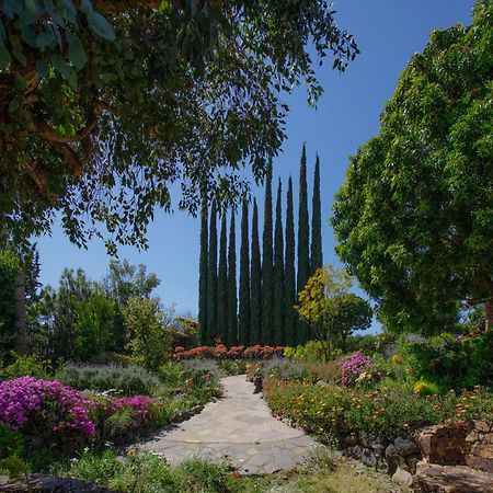 Quinta Maria En La Ruta Del Vino Bed & Breakfast Valle de Guadalupe Dış mekan fotoğraf