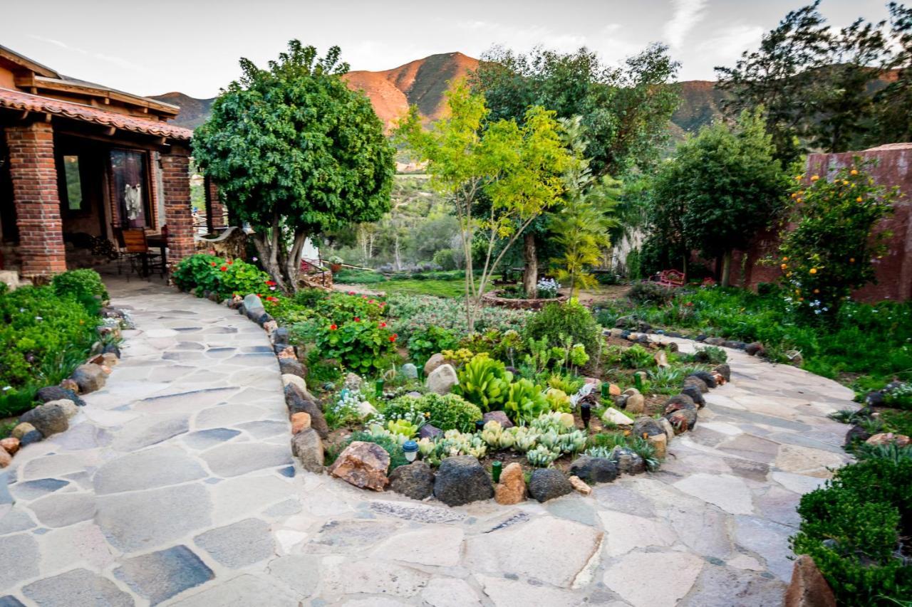 Quinta Maria En La Ruta Del Vino Bed & Breakfast Valle de Guadalupe Dış mekan fotoğraf