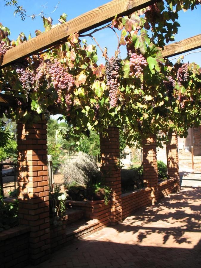 Quinta Maria En La Ruta Del Vino Bed & Breakfast Valle de Guadalupe Dış mekan fotoğraf