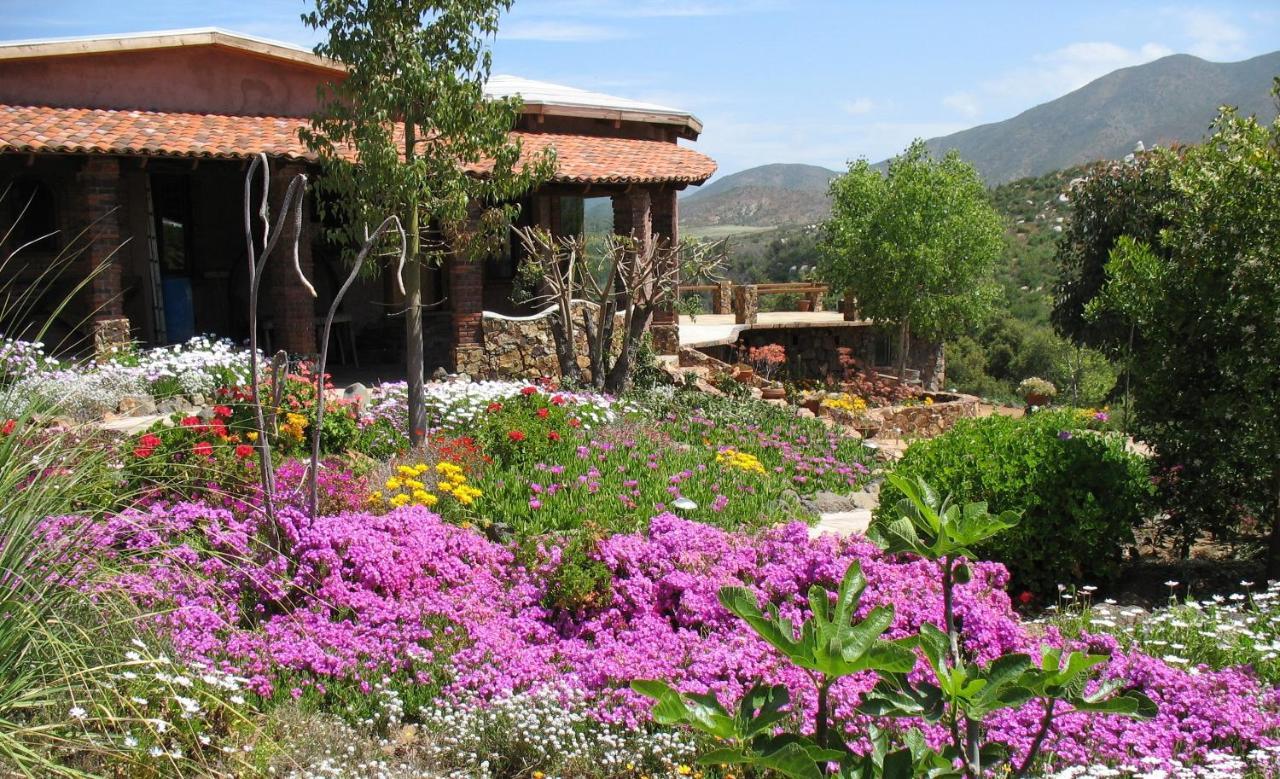 Quinta Maria En La Ruta Del Vino Bed & Breakfast Valle de Guadalupe Dış mekan fotoğraf