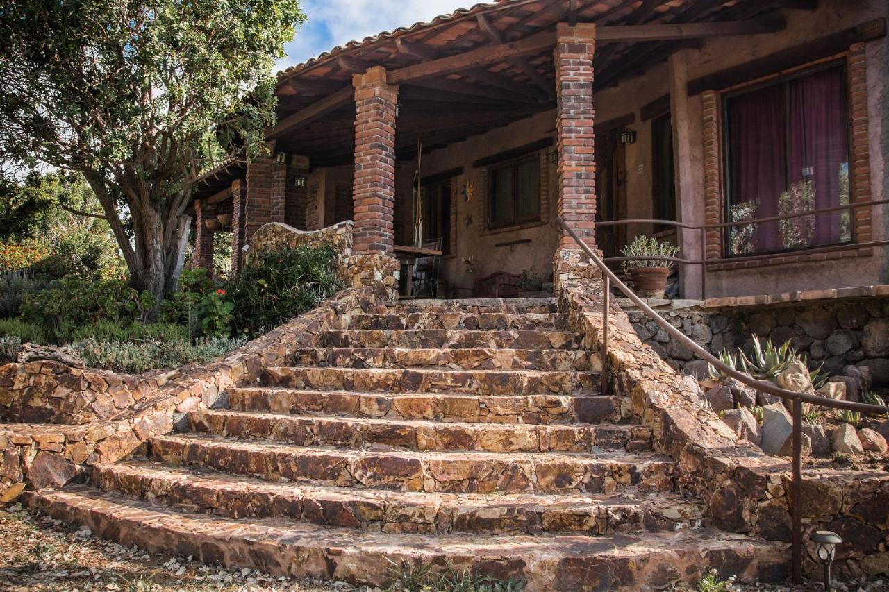 Quinta Maria En La Ruta Del Vino Bed & Breakfast Valle de Guadalupe Dış mekan fotoğraf