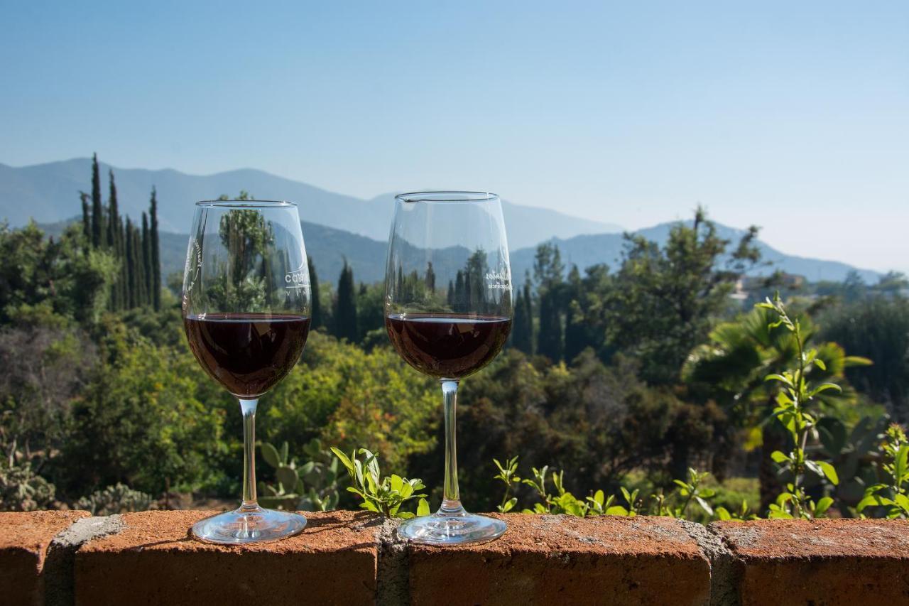 Quinta Maria En La Ruta Del Vino Bed & Breakfast Valle de Guadalupe Dış mekan fotoğraf