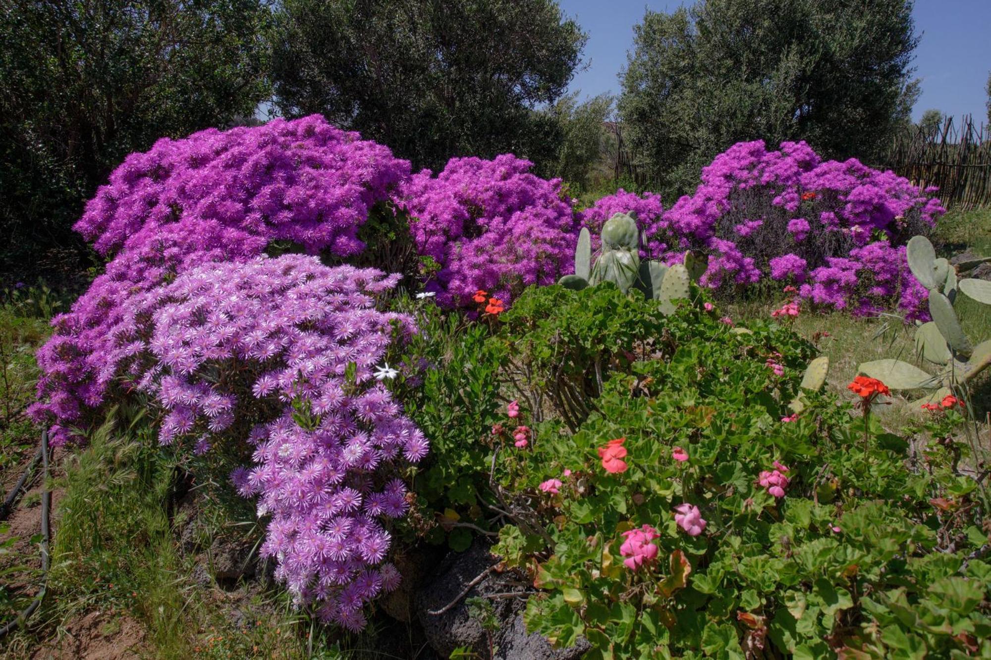Quinta Maria En La Ruta Del Vino Bed & Breakfast Valle de Guadalupe Dış mekan fotoğraf