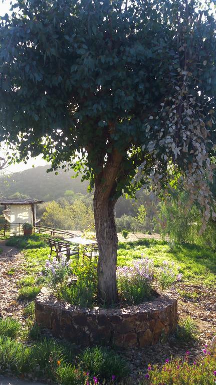 Quinta Maria En La Ruta Del Vino Bed & Breakfast Valle de Guadalupe Dış mekan fotoğraf