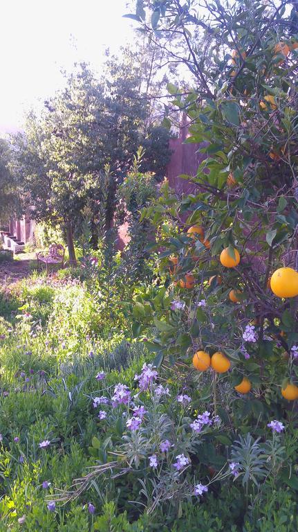 Quinta Maria En La Ruta Del Vino Bed & Breakfast Valle de Guadalupe Dış mekan fotoğraf
