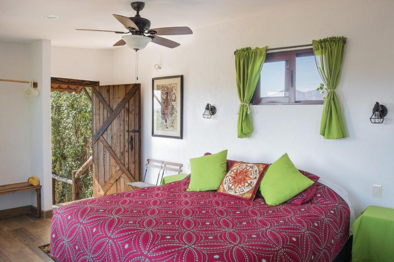 Quinta Maria En La Ruta Del Vino Bed & Breakfast Valle de Guadalupe Dış mekan fotoğraf